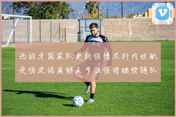 西班牙国家队更新伤情尼科内收肌受伤皮诺肩锁关节扭伤将继续随队训练